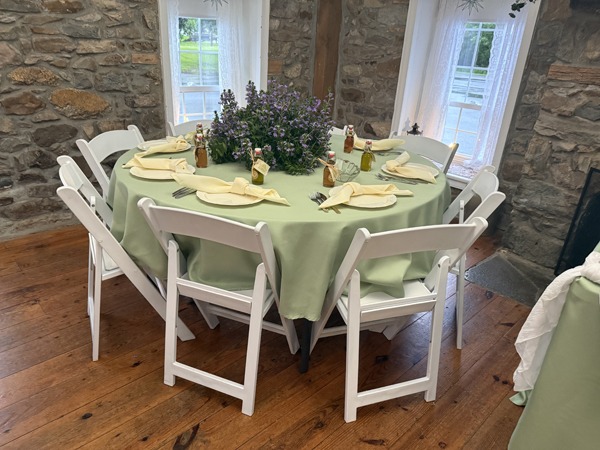 Green tablecloth with yellow tableware and live plant